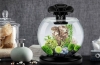 Recenzia aquarium tetra duo waterfall globe