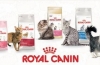 Sortiment a zloženie krmiva pre mačky royal canin