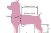 Aké sú veľkosti oblečenia pre psov a ako ich nájsť?