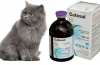 Catosal pre mačky: návod na použitie a recenzie lieku