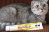 Krmivo pre mačky na depiláciu