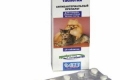 Ciprovet pre psov a mačky - čo je tento liek a ako ho správne používať