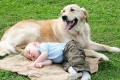 Deti a psy: aký pes si zaobstarať dieťa?