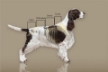 Kohútik u psov - čo to je a kde to je, ako s ním merať rast zvieraťa
