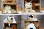 4 Diy nápady na výrobu pohodlných domčekov pre mačky