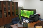 Akvárium v ​​práci aj v kancelárii