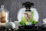 Recenzia aquarium tetra duo waterfall globe