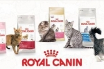 Sortiment a zloženie krmiva pre mačky royal canin