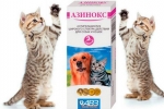 Azinox pre mačky: návod na použitie, zloženie a recenzie