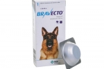 Bravecto pre psov: tablety a kvapky