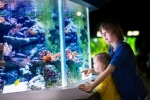 Akvárium pre dieťa