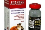 Návod na použitie anandínu pre mačky