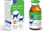 Návod na použitie flexoprofenu pre mačky a psy