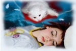 Prečo ženy a muži snívajú o mačkách: význam z kníh snov